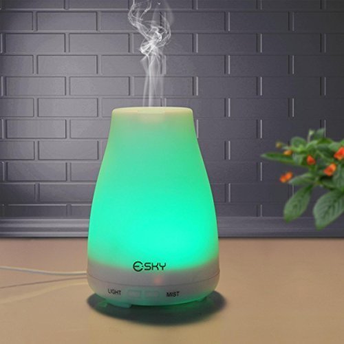 Il Diffusore Umidificatore di Esky