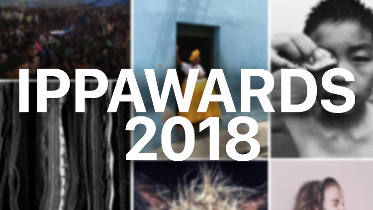 Assegnati gli iPhone Photography Awards, Tim Cook si congratula con i vincitori