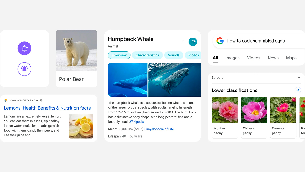 In arrivo una riprogettazione dell’interfaccia mobile di Google