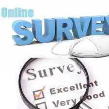 A Manual for Bringing in Cash Online From Surveys the Correct Way