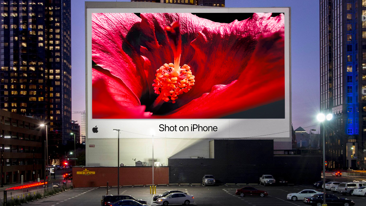 Ecco le 10 foto che hanno vinto il concorso “Shot on iPhone Macro” di Apple [DOWNLOAD]