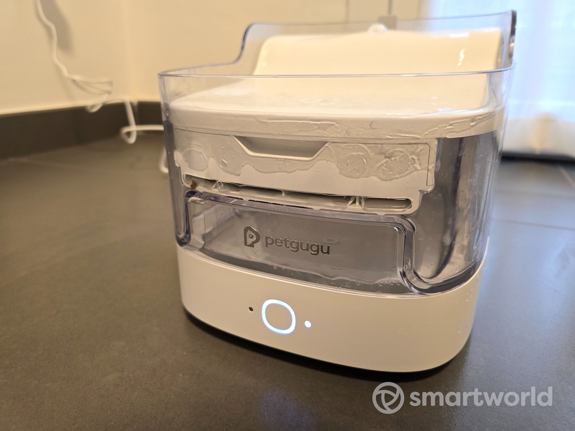 Recensione Petgugu fontana per gatti smart: sì, davvero